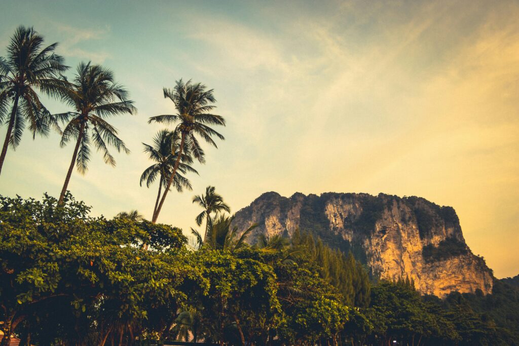 pexels-photo-1154193-1154193 Scenic view of towering limestone cliffs and palm trees in Krabi, Thailand at sunset.